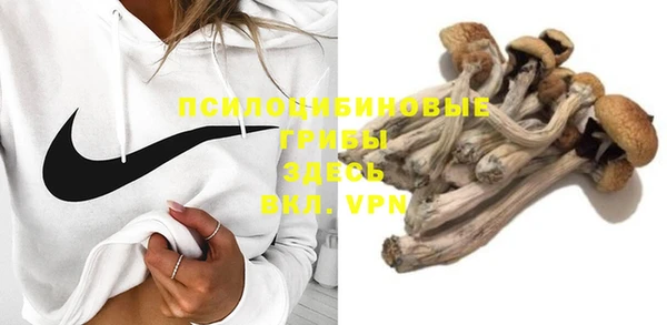 круглые Абаза