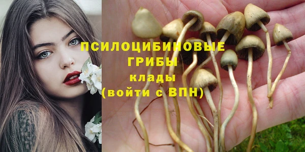 а пвп мука Абинск