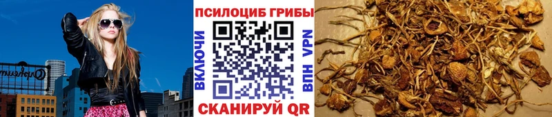 купить наркоту  Комсомольск-на-Амуре  Псилоцибиновые грибы Magic Shrooms 